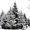 31 декабря во Владивостоке — 20 градусов мороза и сильный ветер