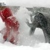 Владивосток справляется с последствиями снегопада