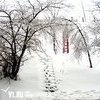 Прогноз погоды во Владивостоке на сегодня, 26 декабря