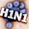    «»       H1N1