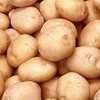 Приостановлен ввоз партии опасного картофеля из КНР в Приморье