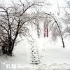 Прогноз погоды во Владивостоке на понедельник, 2 февраля