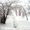 Власти Владивостока штрафуют нарушителей за неубранный снег