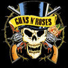 Guns'n'Roses   -