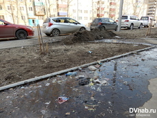 Сэкономим на уборке: улицы Комсомольска в этом году станут меньше подметать 