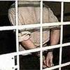Мужчина, устроивший во Владивостоке показательный расстрел парня, пойдет под суд