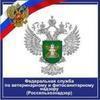 В Приморье обнаружены опасные фитогормоны