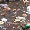 Во Владивостоке монголы учились перерабатывать мусор