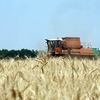 Выводить земли из сельхозоборота в России станет сложнее