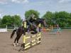 Первенство города по конному спорту пройдет во Владивостоке
