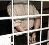 Ночью во Владивостоке задержаны незаконные агитаторы одного из кандидатов в мэры