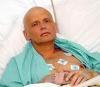 Вдова Литвиненко требует у Британии продолжить расследование его смерти
