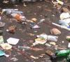 Самую большую свалку Владивостока засадят зеленым кустарником