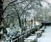 Во второй половине дня снег во Владивостоке прекратится