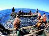 Приморские рыбаки наращивают объемы вылова рыбы