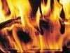 В Шкотовском районе Приморья лесная мафия поджигает дома работников природоохраны