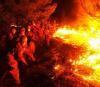 15 лесных пожаров возникли за выходные в Приморье