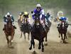В Приморье стартуют конные соревнования «Золотая осень 2007»