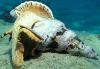 Во Владивостоке обсудят проблемы морской экологии