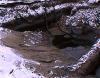 Владивосток загрязняет Золотой Рог канализационными сбросами