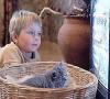 В России начал вещание первый детский канал «Бибигон»