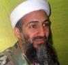 Вознаграждение за Бен Ладена увеличат до 50 миллионов долларов