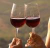Молдавское вино в Росси подорожает на треть