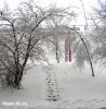 Во Владивостоке в выходные дни ожидается снег