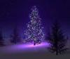 Владивостокская епархия приглашает на Рождественскую елку 8 января