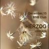 Владивостокская группа «Herzog» отыграет сегодня концерт