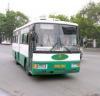 Автобусники Владивостока игнорируют бесплатный «выборный проезд»