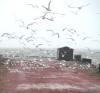 На Владивосток надвигается тайфун «Shanshan»: объявлено штормовое предупреждение