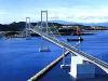 Через 20 дней определится проектировщик моста на остров Русский