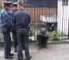 14-летний любитель гашиша задержан на Набережной