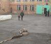 Телефонный “террорист” сорвал зачетный день в школе Владивостока
