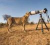 «Nikon» прекратила выпускать пленочные фотоаппараты