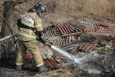 Природные пожары в Хабаровском крае вспыхивали 950 раз 