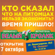 Хабаровск Белый Кролик Сайт Интернет Магазин