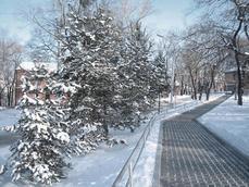 Новогодняя Ночь На Кладбище