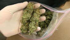 Задержание наркодилеров марихуаны тор браузер безопасен ли он hydra2web