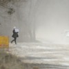 Люди дышат пылью с грунтовой дороги, хотя власти еще с 2012 года обещают положить асфальт — newsvl.ru