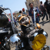 Некоторые байкеры любят украшать свои мотоциклы — newsvl.ru