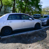 Больше всего желающих припарковаться - вечером в выходные дни — newsvl.ru