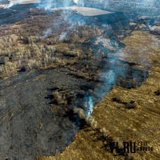 Лесные пожары тушат в Красноармейском и Шкотовском районах Приморья