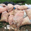Мешки с протухшим крабом выбросили у реки Шмидтовка в Надеждинском районе (ФОТО)