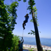 Нужно было залезть на дерево  — newsvl.ru