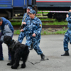 Кроме автомата Калашникова, есть еще один метод предотвратить попытку побега – кинологи с собаками    — newsvl.ru