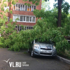 Дерево упало на Vitz и Prado во Владивостоке (ФОТО)