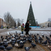 В центре Донецка - словно в другом мире. Украшена елка и родители гуляют с детьми — newsvl.ru