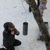 На дереве висит специальный колокол — когда работники сафари-парка в него бьют, копытные знают, что наступает время трапезы — newsvl.ru